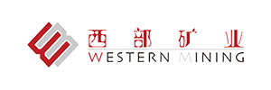 西部礦業股份有限公司鋅業分公司
